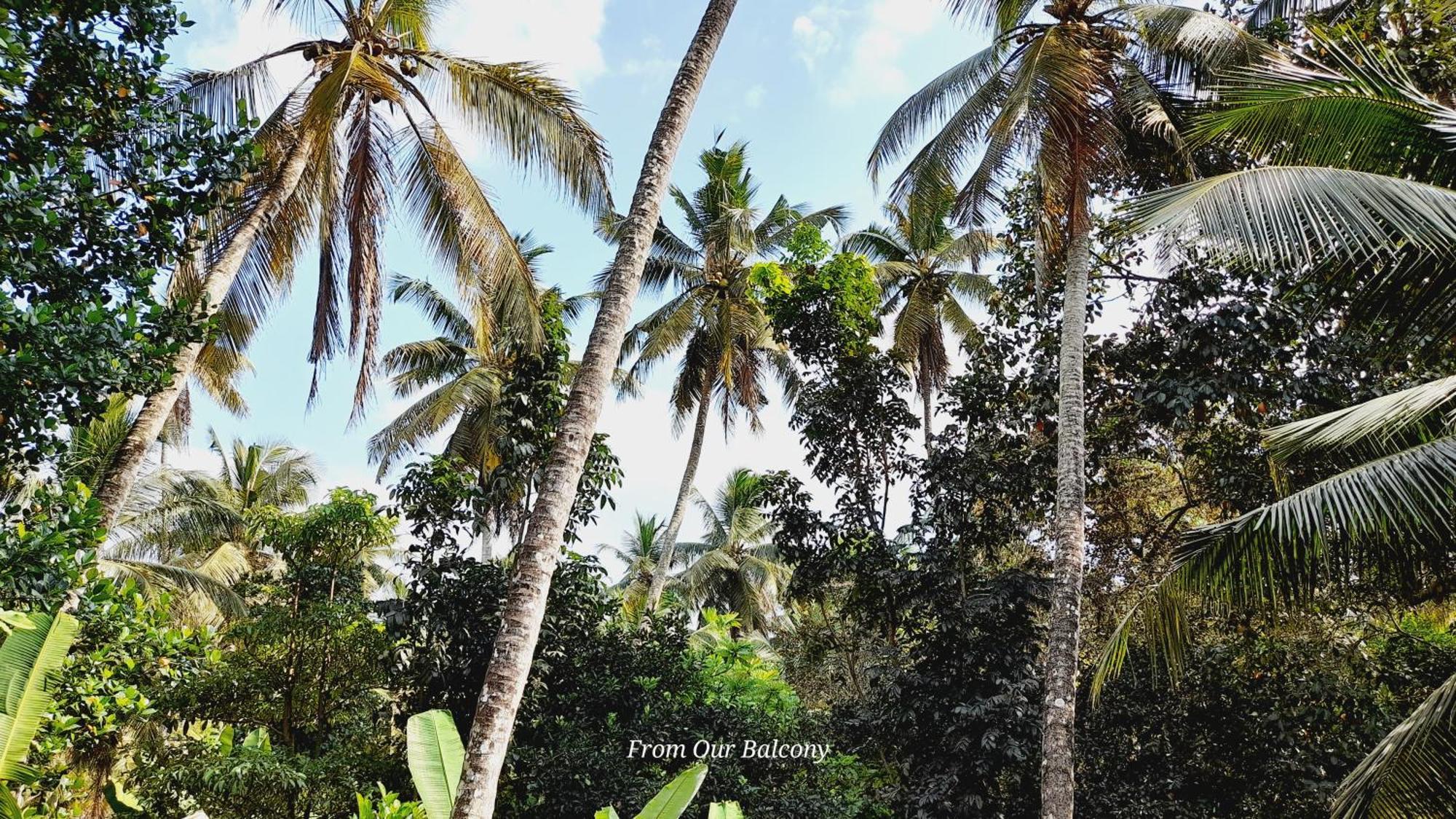Le Meridien Bnb For Foreign Travelers Negombo Luaran gambar