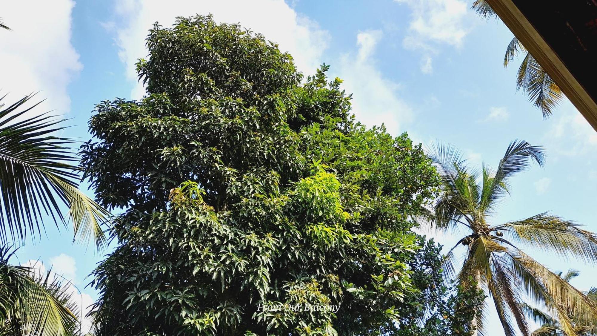 Le Meridien Bnb For Foreign Travelers Negombo Luaran gambar
